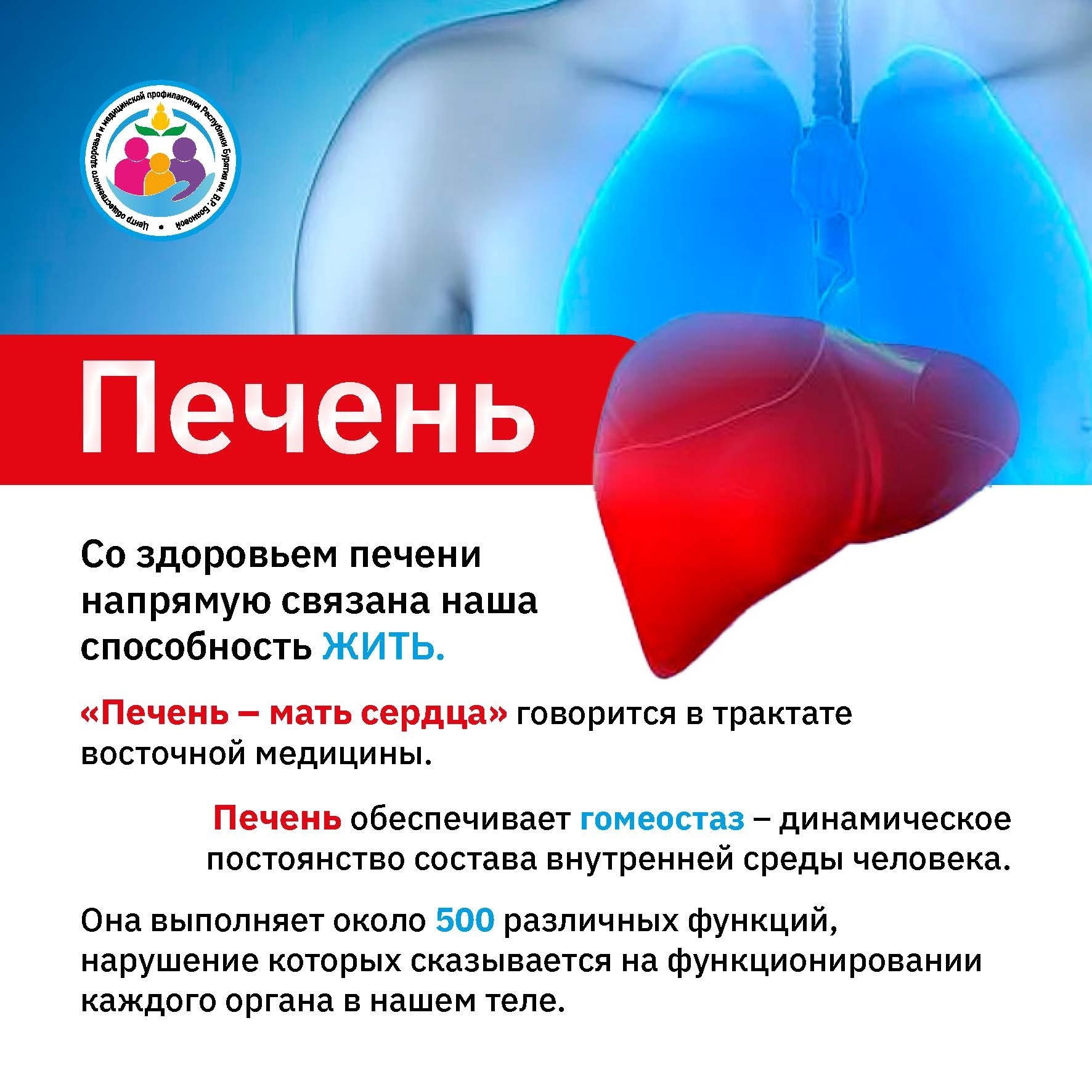Неделя профилактики заболеваний печени: бережём «химическую лабораторию» организма! 
